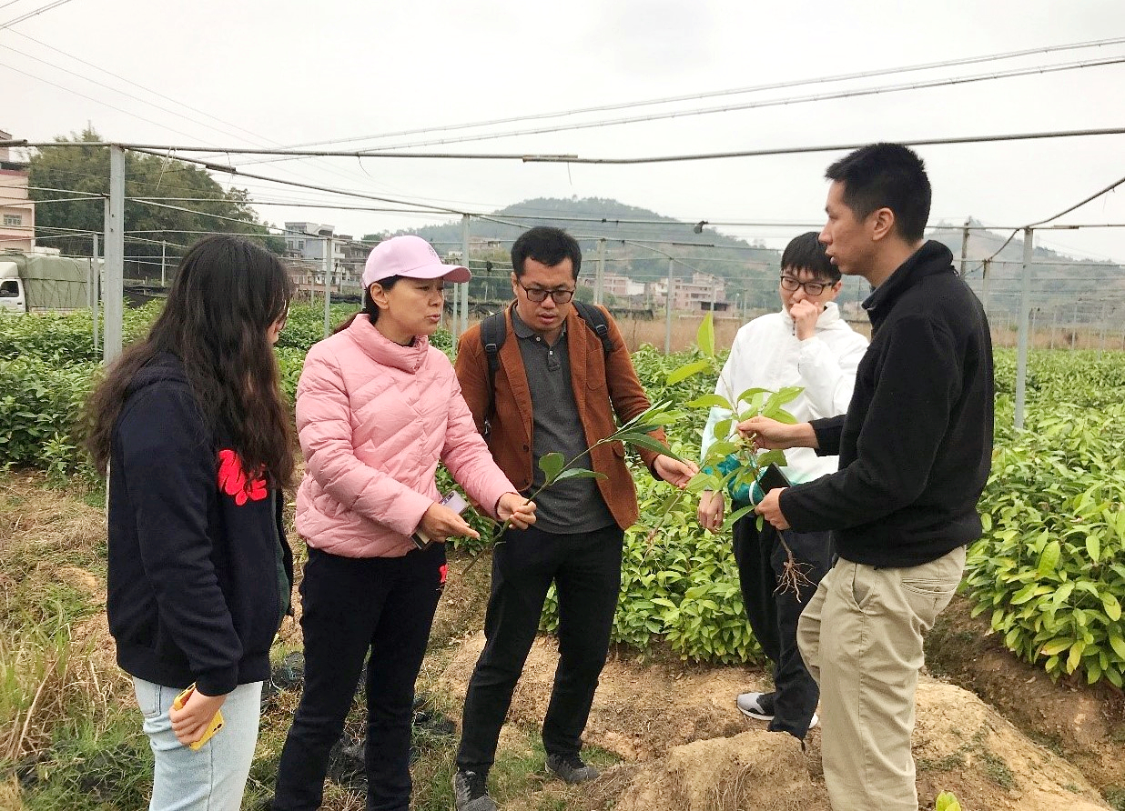 产业园专家团队赴云浮开展第四期肉桂种植技术培训讲座
